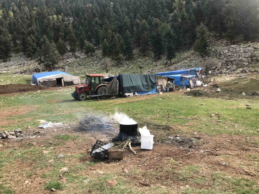 Antalya’da Yörüklerin Yayla Dönüşü Başladı