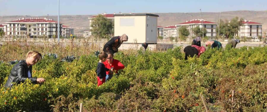 Kadınlar Topraktan Sofraya Üretim Yapıyor