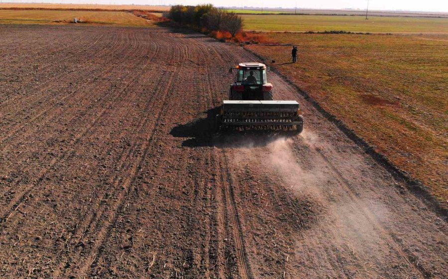 Uzmanlardan, Rekolteyi Yüzde 50’ye Kadar Arttırmak İçin Sertifikalı Tohum Uyarısı