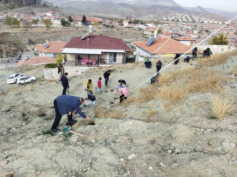 Büyükşehir, Ağaçlandırma Çalışmasına Yeşilhisar İle Devam Etti