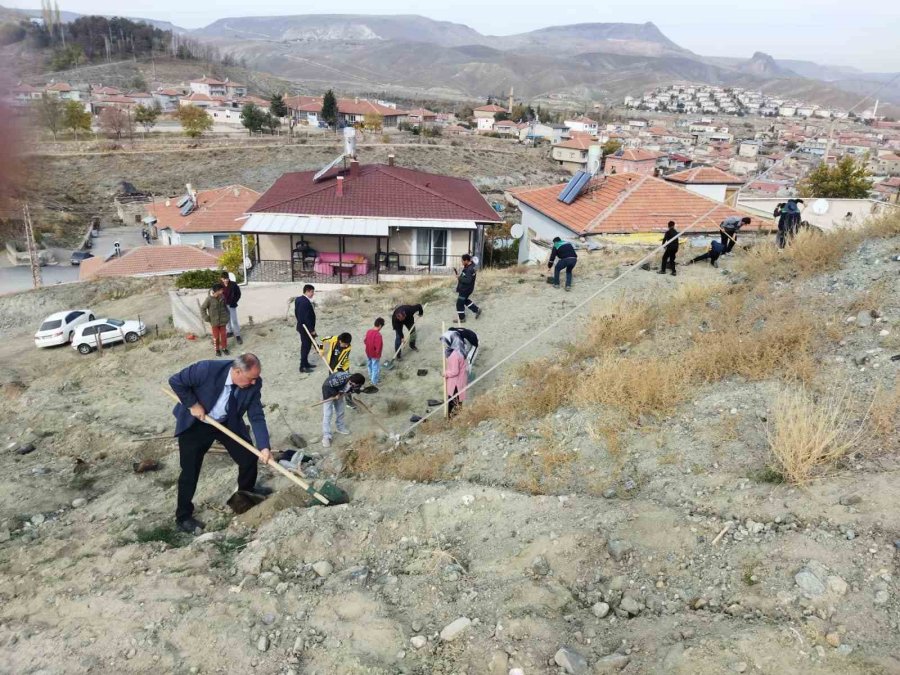 Büyükşehir, Ağaçlandırma Çalışmasına Yeşilhisar İle Devam Etti