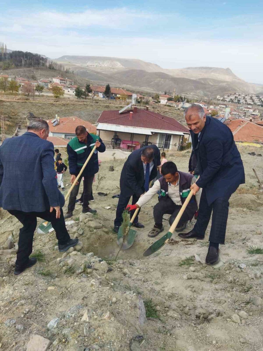 Büyükşehir, Ağaçlandırma Çalışmasına Yeşilhisar İle Devam Etti