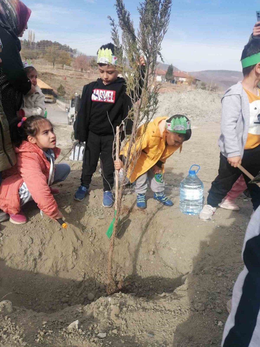 Büyükşehir, Ağaçlandırma Çalışmasına Yeşilhisar İle Devam Etti