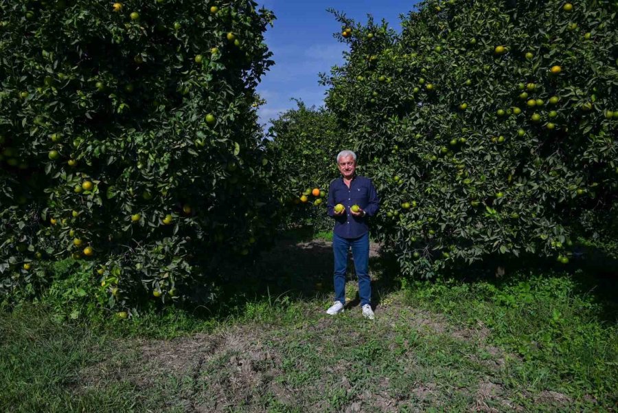 Kardeş Kente İlk Hasat Başkan Geyikçi’den