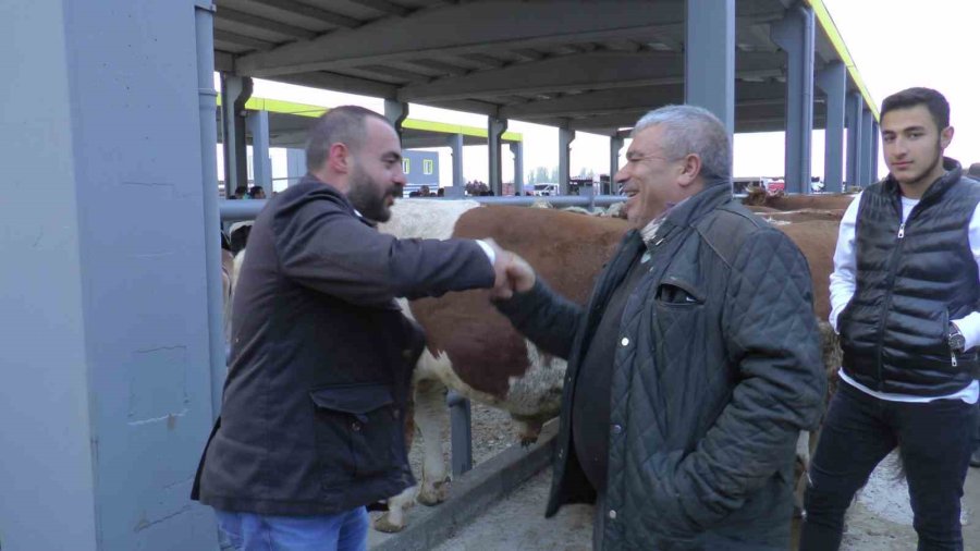 İç Anadolu’nun En Büyük Canlı Hayvan Borsası’na Üreticilerden Yoğun İlgi