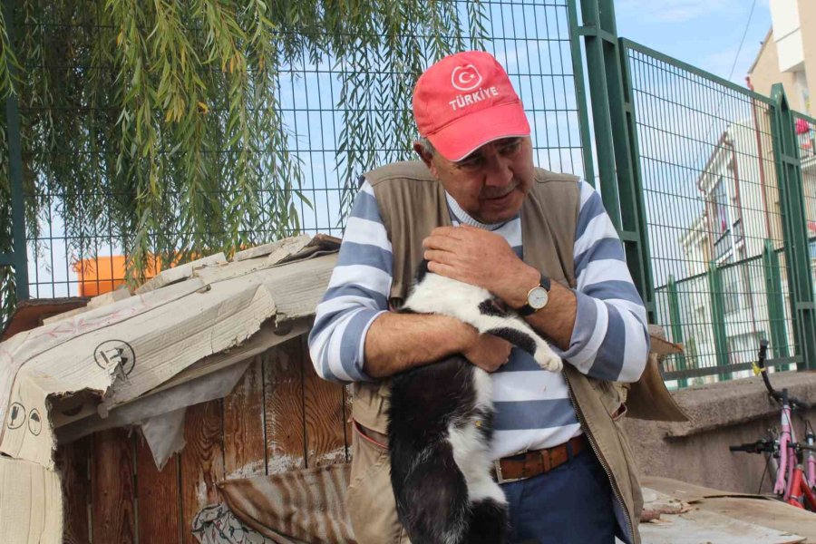 22 Senedir Beslediği Kedilerin Ve Köpeği ’tombik’in Mamasını Eksik Etmiyor