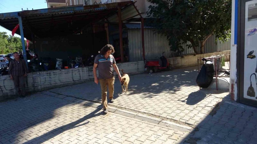 Köpeği De İnsanlığı Da Uyutmadı, Yanından Ayırmayıp Gözü Gibi Bakıyor