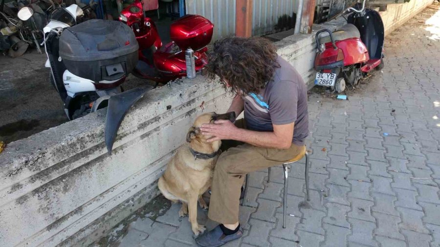 Köpeği De İnsanlığı Da Uyutmadı, Yanından Ayırmayıp Gözü Gibi Bakıyor