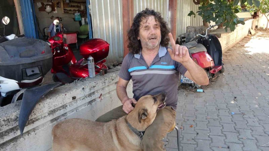 Köpeği De İnsanlığı Da Uyutmadı, Yanından Ayırmayıp Gözü Gibi Bakıyor