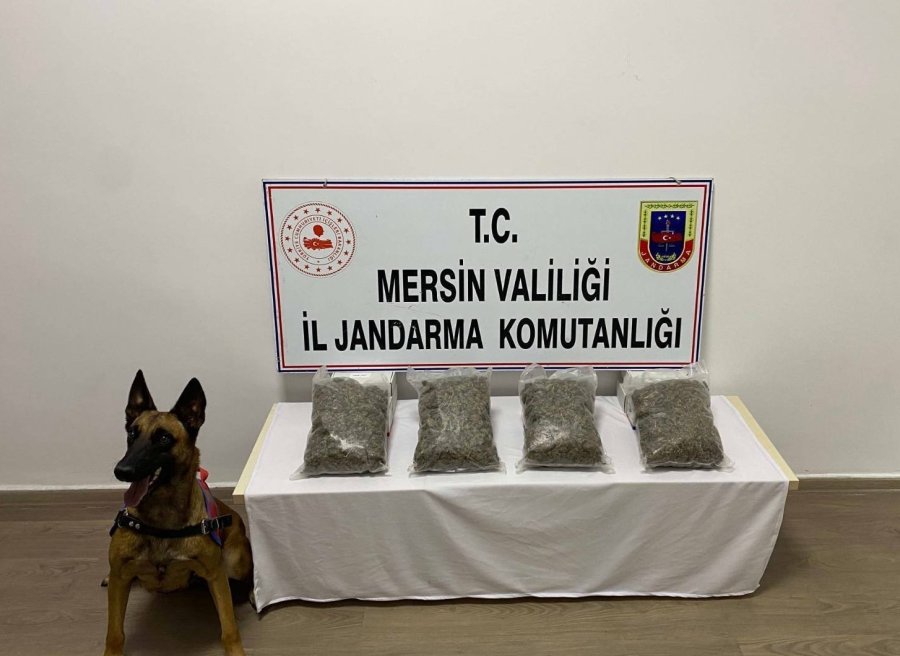 Mersin’de Uyuşturucu İle Yakalanan 2 Kişi Tutuklandı