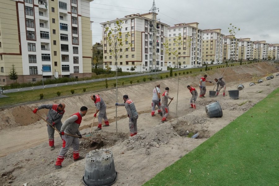 Melikgazi Geleceğe Nefes İçin, Birçok Mahallede Fidan Dikiyor