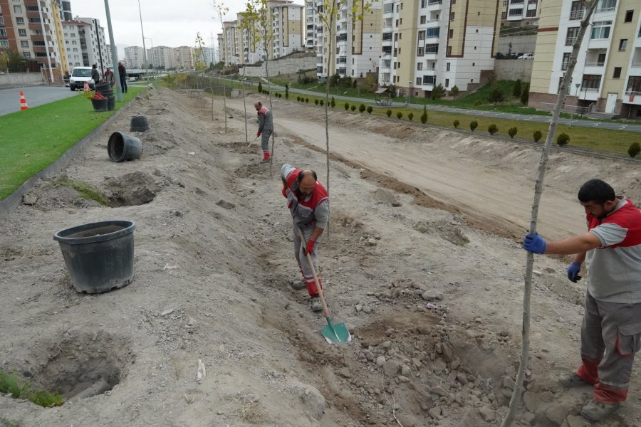 Melikgazi Geleceğe Nefes İçin, Birçok Mahallede Fidan Dikiyor