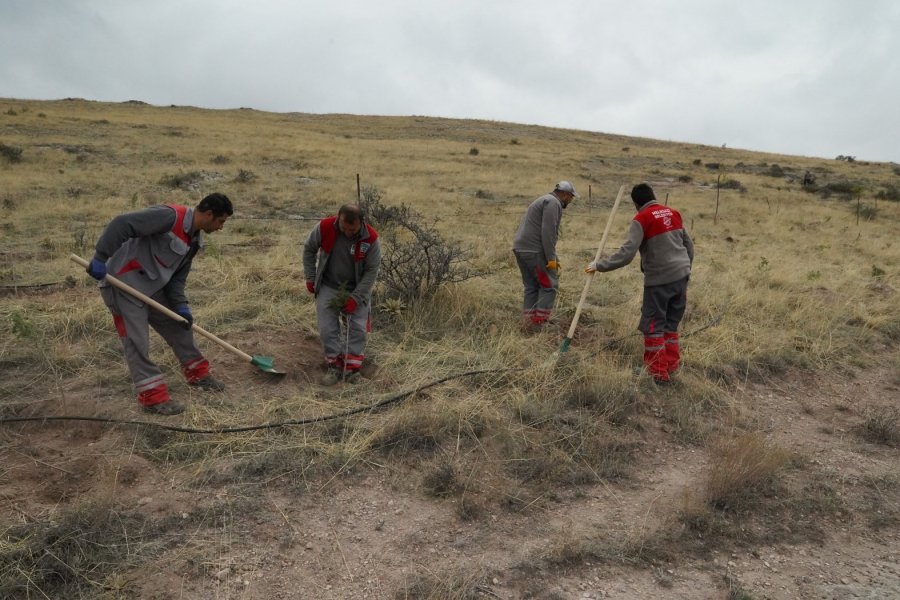 Melikgazi Geleceğe Nefes İçin, Birçok Mahallede Fidan Dikiyor