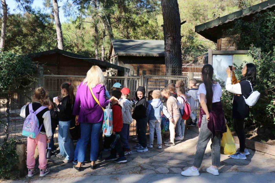 Doğal Yaşam Parkı’na Ziyaretçi Akını