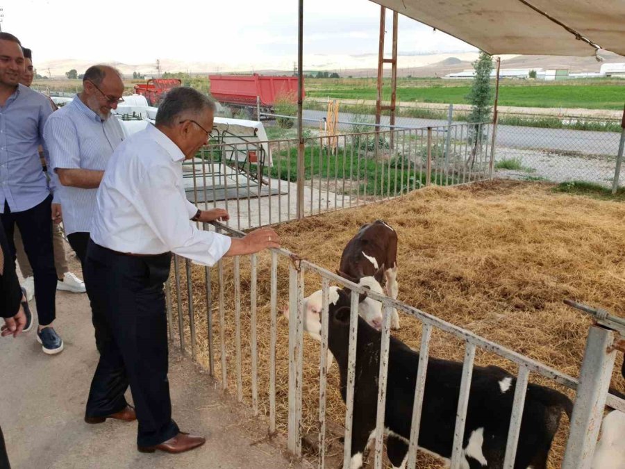 Büyükşehir’den Tarım Ve Hayvancılığa 5 Yılda Yaklaşık 500 Milyon Tl’lik Yatırım