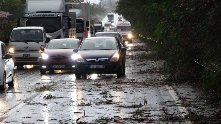 Antalya’da Fırtına Ağaçları Devirdi, Karayolunda Trafik Aksadı