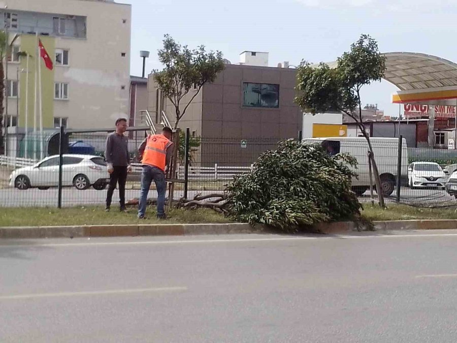 Büyükşehir Ekiplerinin Fırtına Mesaisi