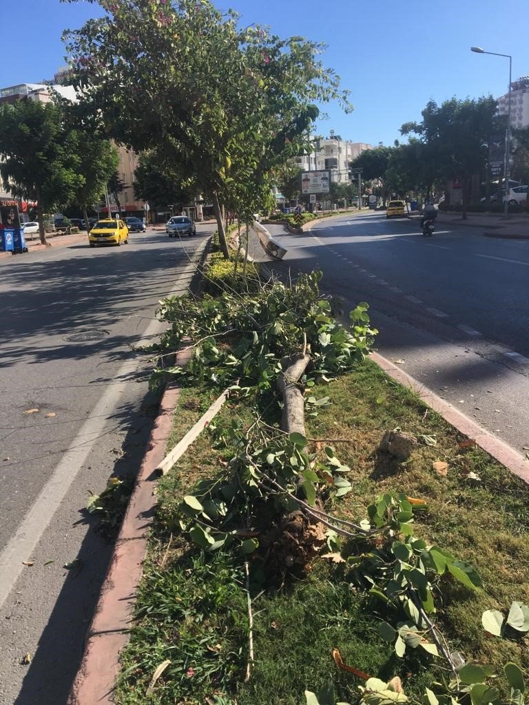 Büyükşehir Ekiplerinin Fırtına Mesaisi