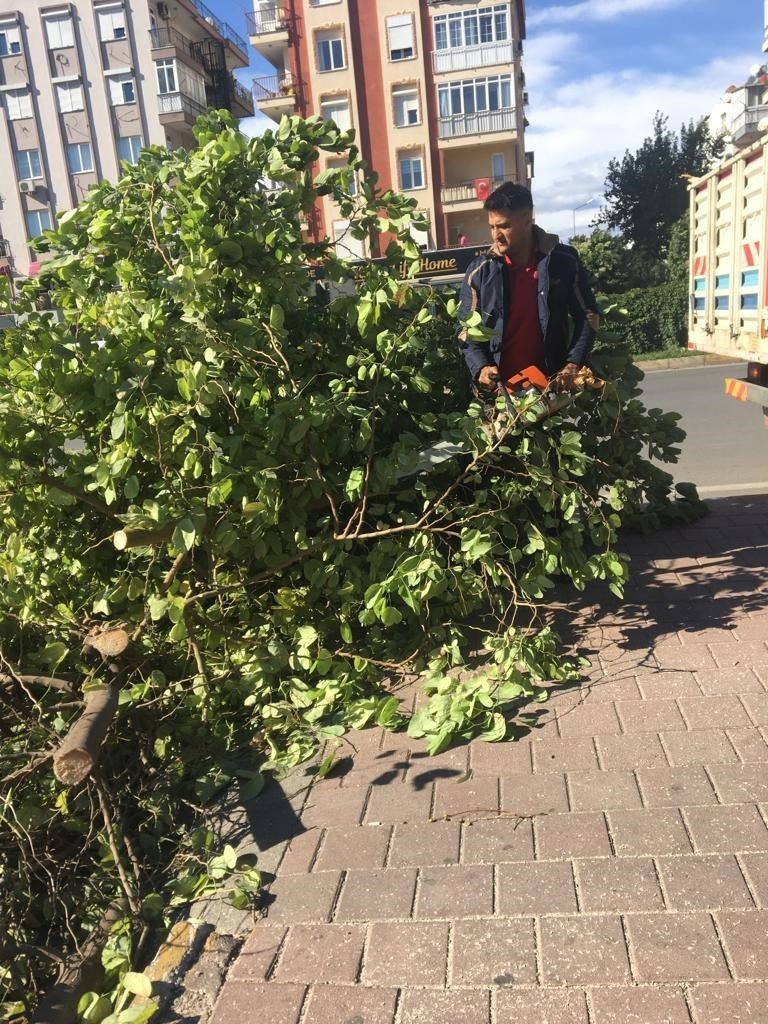 Büyükşehir Ekiplerinin Fırtına Mesaisi