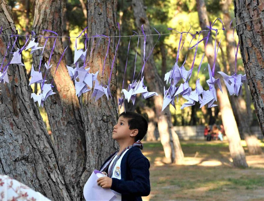 Kadına Şiddete ’kâğıttan Bin Turna Kuşu’ Efsanesi İle Dur Diyecekler