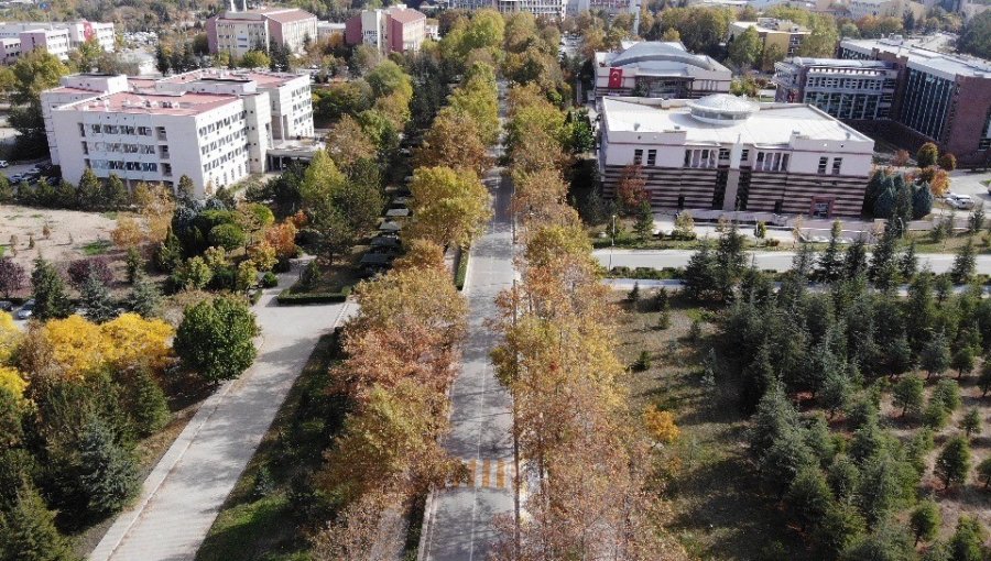 Eskişehir’de Kampüsten Hayran Bırakan Sonbahar Manzaraları