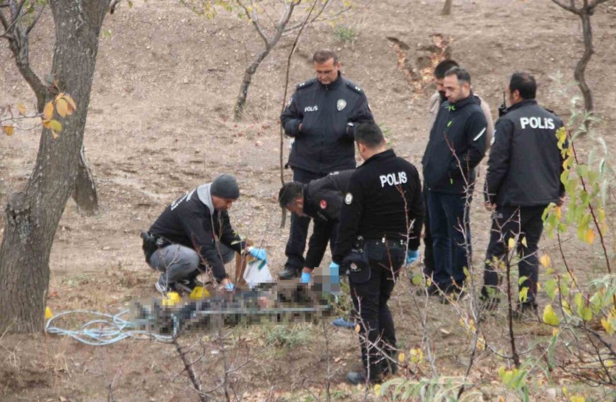 Köpek Gezdiren Vatandaşlar Fark Etti: Ağaca Asılı Halde Bulundu