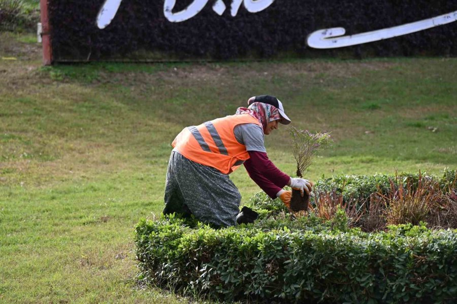 Manavgat Belediyesi’nin İlçeyi Yeşillendiren Kadınları