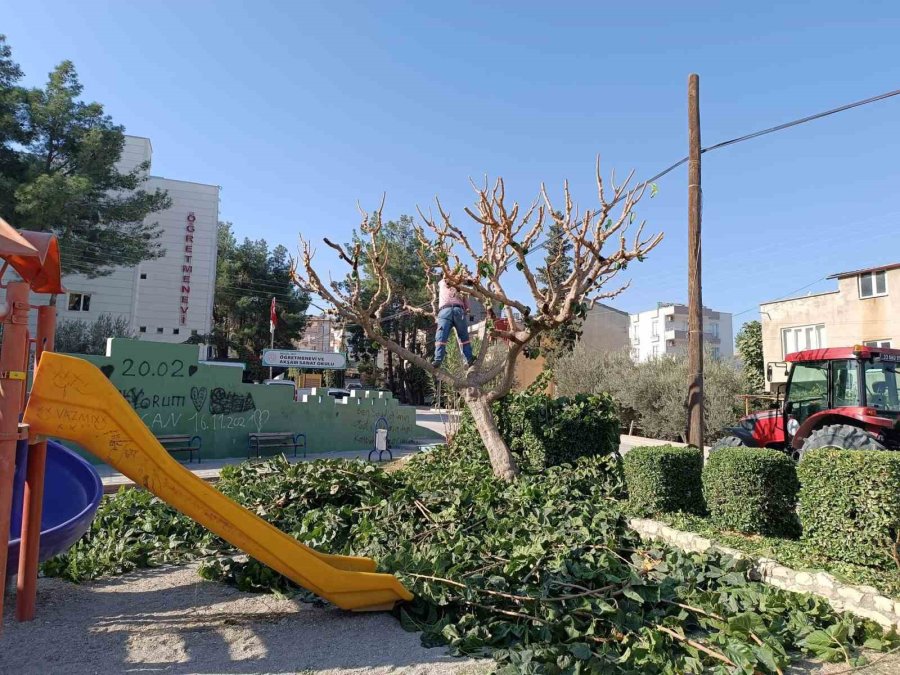 Mut’ta Yol, Park Ve Bahçelerin Kışlık Bakımı Yapılıyor