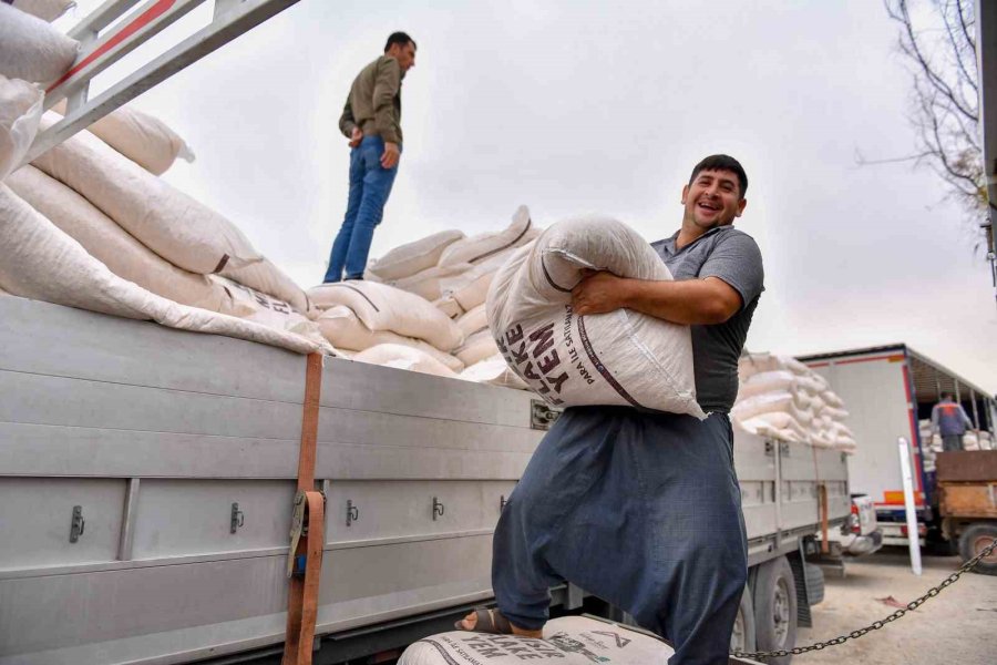 Mersin’de Büyükbaş Hayvancılıkla Uğraşan Çiftçilere ’mısır Flake’ Yem Desteği