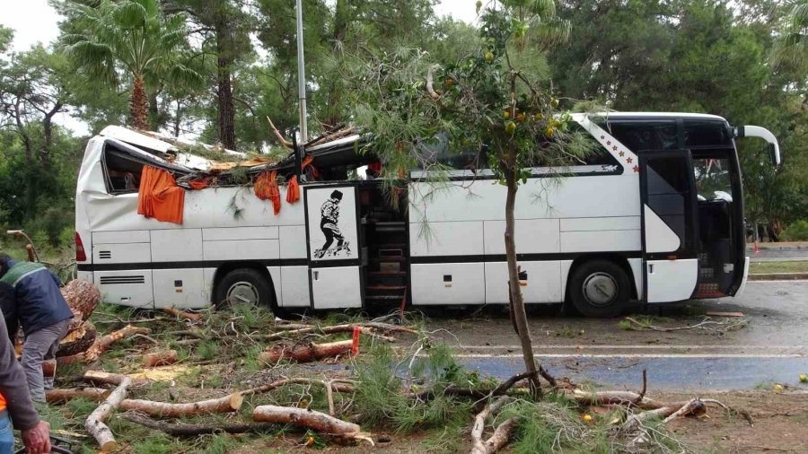 Manavgat’ta Hortum Asırlık Çam Ağaçlarını Yerle Bir Etti