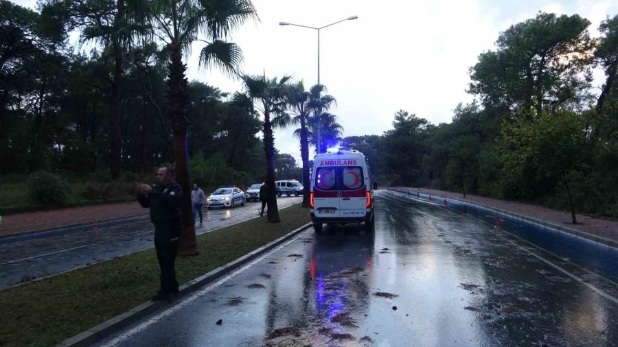 Servis Otobüsünün Üzerine Çam Ağacı Devrildi: 7 Yaralı