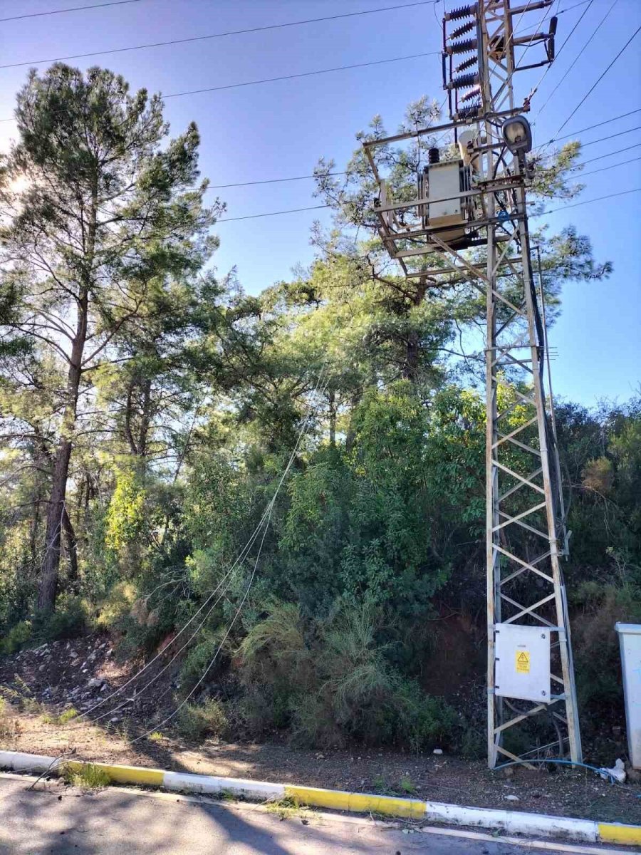 Kemer’de Fırtına Ağaçları Devirdi Ağaçlar Zarar Gördü, Totemler Fırtınaya Dayanamadı