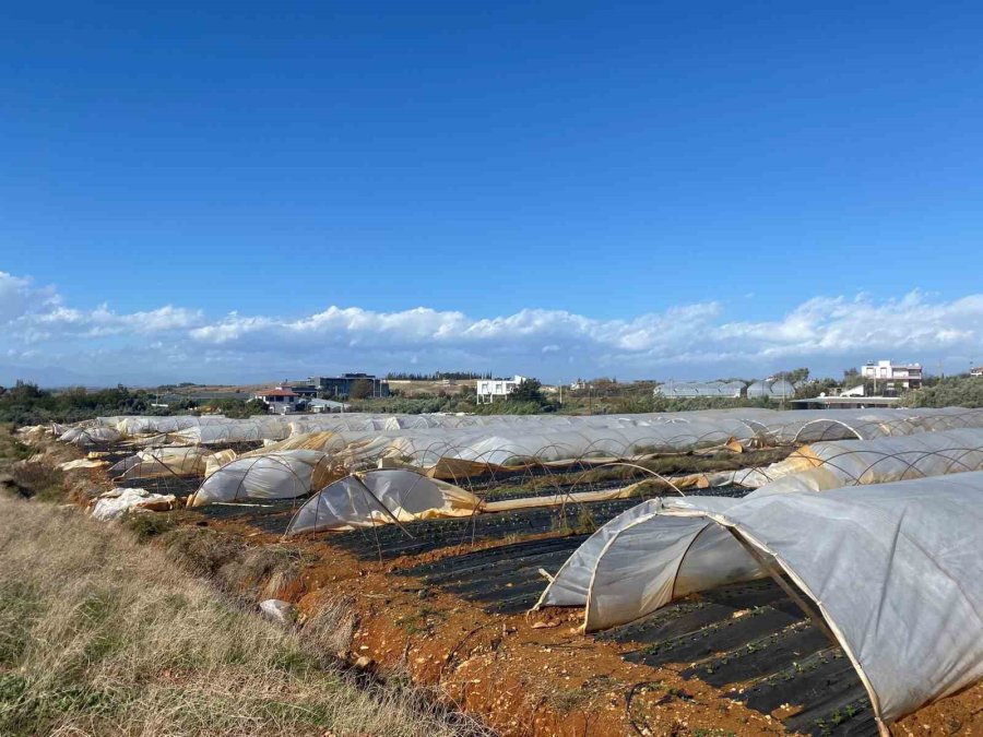 Antalya’da Fırtına Seralara Da Zarar Verdi