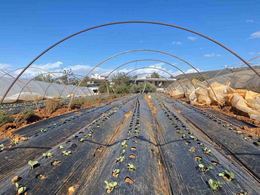 Antalya’da Fırtına Seralara Da Zarar Verdi