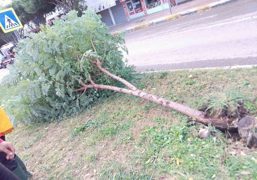 Büyükşehir Seferber Oldu, Bir Gecede 174 Vakaya Müdahale Etti