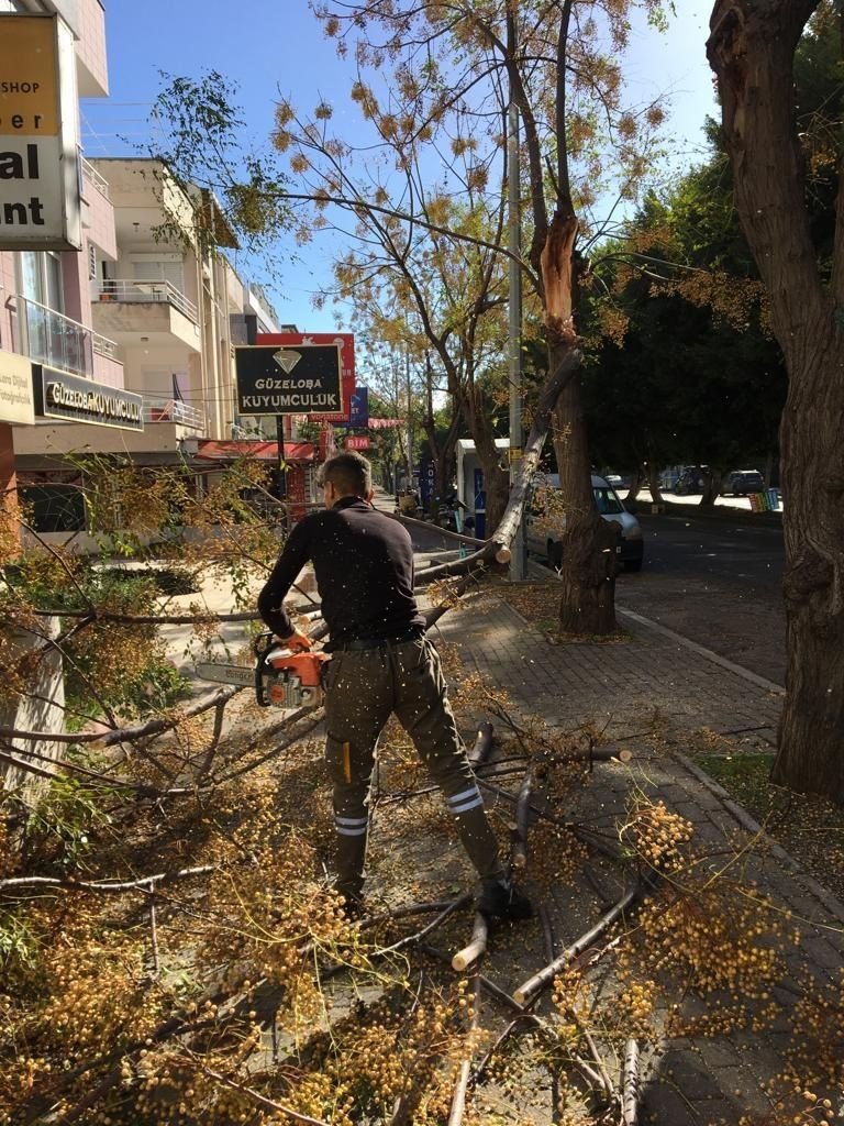 Büyükşehir Seferber Oldu, Bir Gecede 174 Vakaya Müdahale Etti