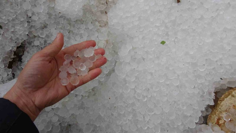 Dolu Bir Çok Bahçeye Zarar Verdi, Limonda Yüzde 70’e Kadar Hasar Tespit Edildi