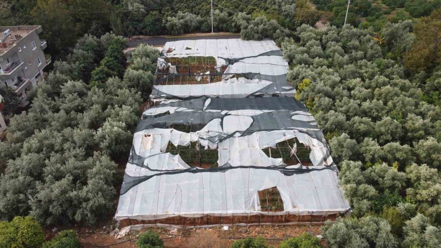 Dolu Bir Çok Bahçeye Zarar Verdi, Limonda Yüzde 70’e Kadar Hasar Tespit Edildi