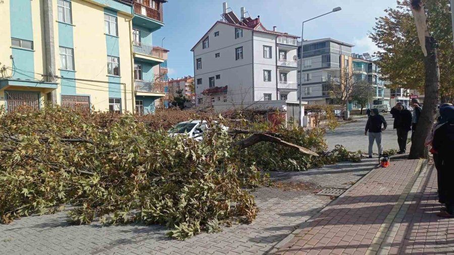 Konya’da Şiddetli Fırtınada Kırılan Ağaç Park Halindeki Otomobile Zarar Verdi