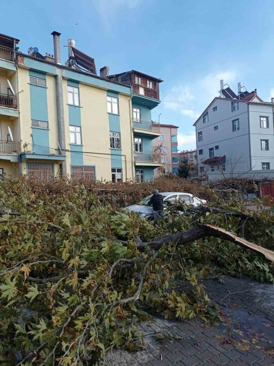 Konya’da Şiddetli Fırtınada Kırılan Ağaç Park Halindeki Otomobile Zarar Verdi