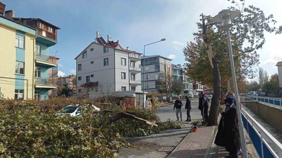 Konya’da Şiddetli Fırtınada Kırılan Ağaç Park Halindeki Otomobile Zarar Verdi