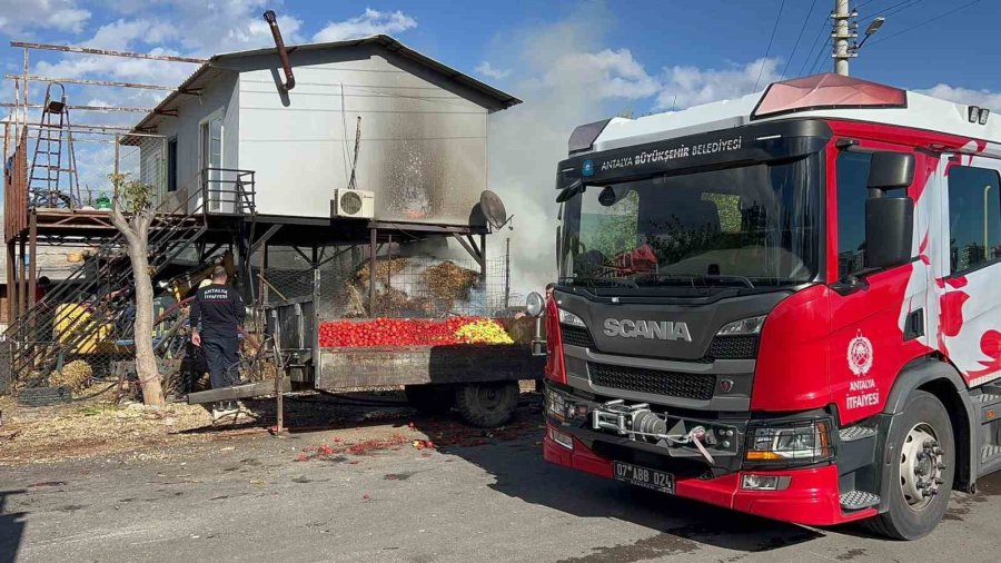 Antalya’da Saman Balyası Yangını