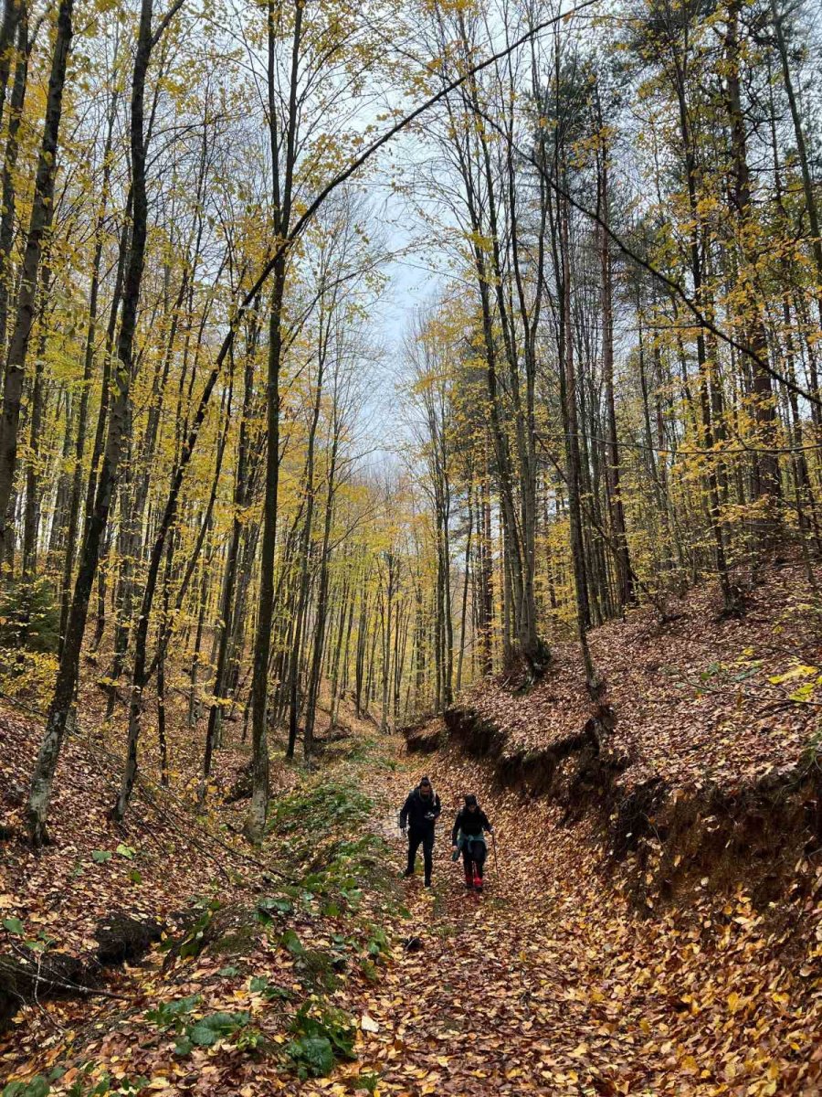 Kar Yağışı Eşliğinde 13 Kilometre Yürüyüş