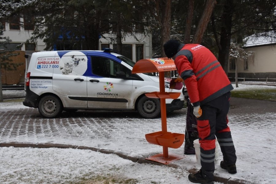 Kocasinan’dan Kış Mevsimi Boyunca Sokak Ve Yaban Hayvanları İçin 18 Ton Yem