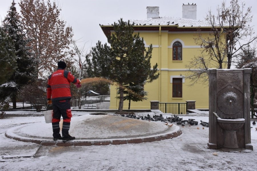 Kocasinan’dan Kış Mevsimi Boyunca Sokak Ve Yaban Hayvanları İçin 18 Ton Yem