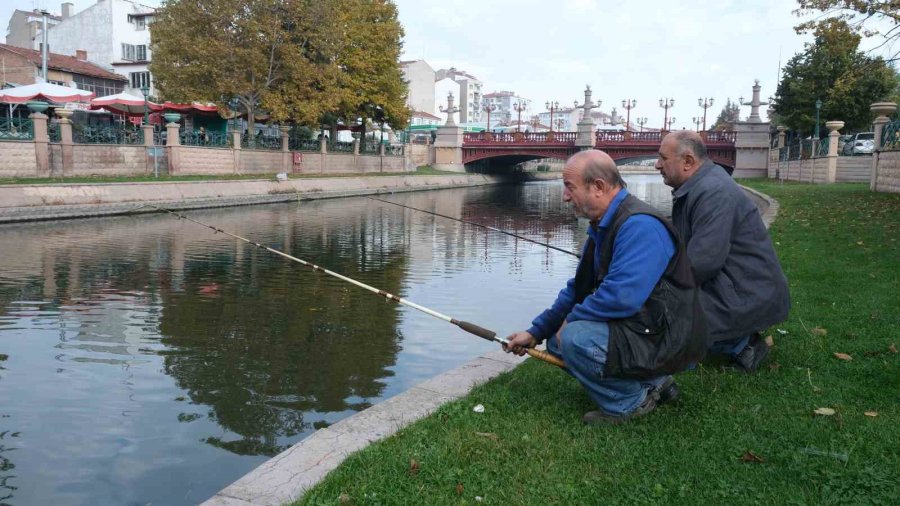 Kaçak Balık Avcıları Doğayı Tehlikeye Atıyor