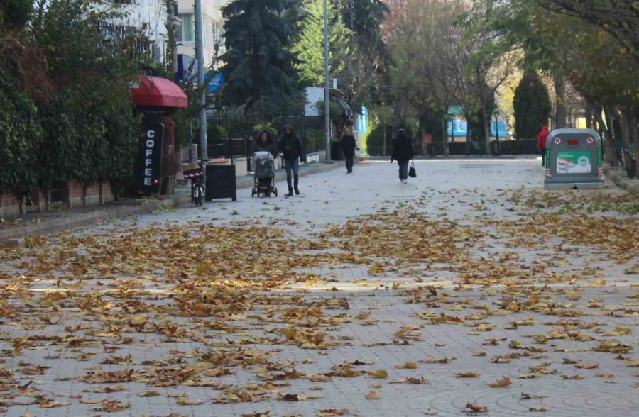 Vatandaşların Sararan Yapraklar Arasında Yürüyüş Keyfi