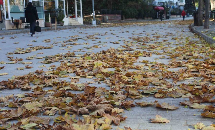 Vatandaşların Sararan Yapraklar Arasında Yürüyüş Keyfi