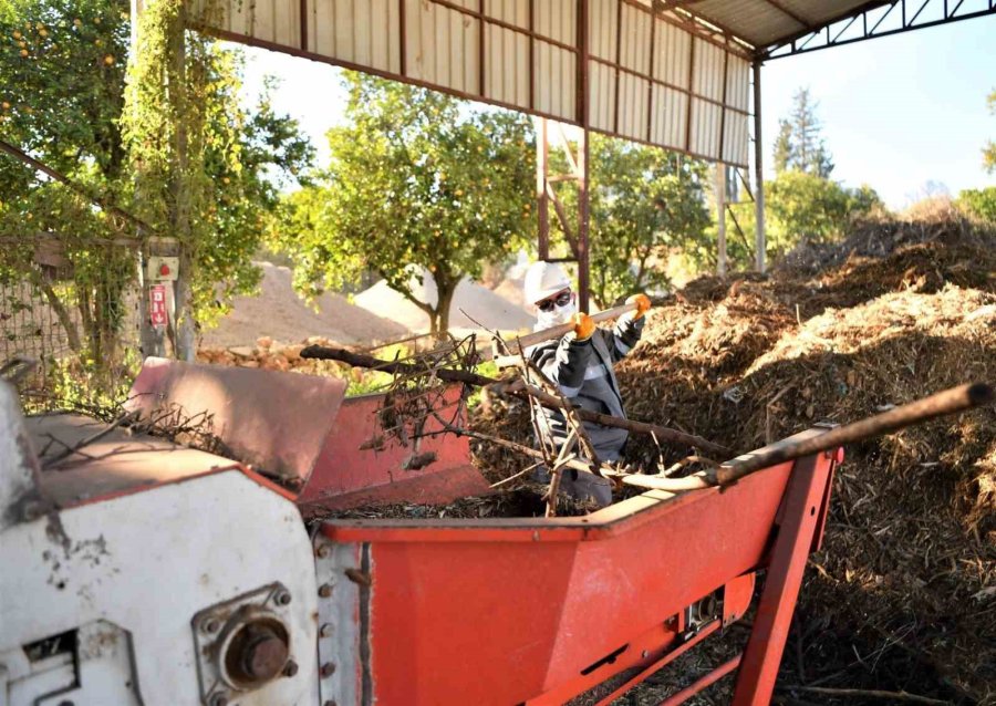 Bitki Atıkları Vatandaşlar Ve Çiftçilere Yakıt Olarak Dönecek