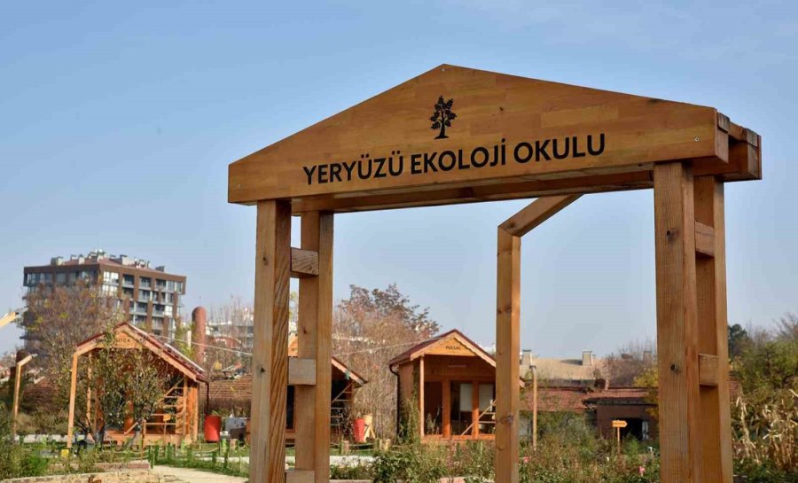 Yeryüzü Ekoloji Okulu Aralık Atölyeleri Başlıyor